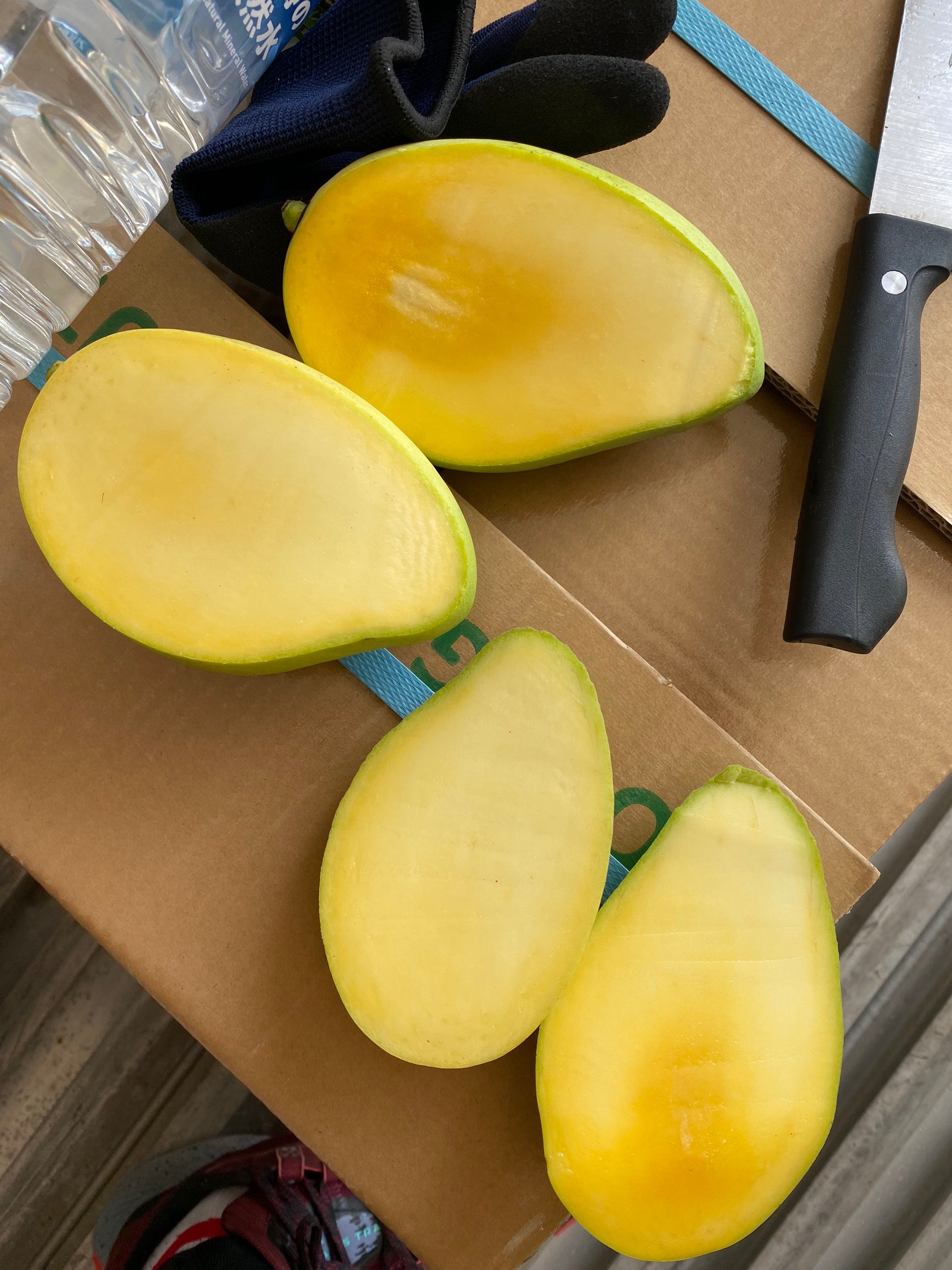 UNDER RIPE MANGO !!! Flash Sale
