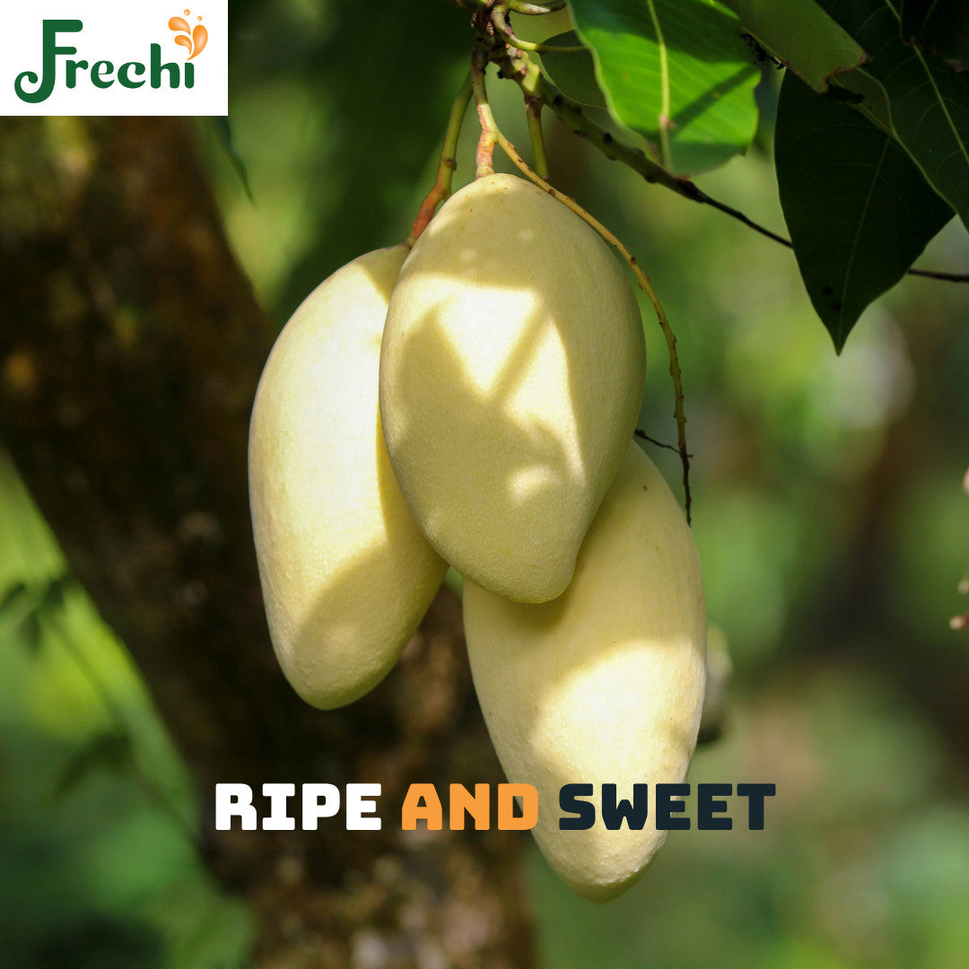 Fresh Ripe Mango