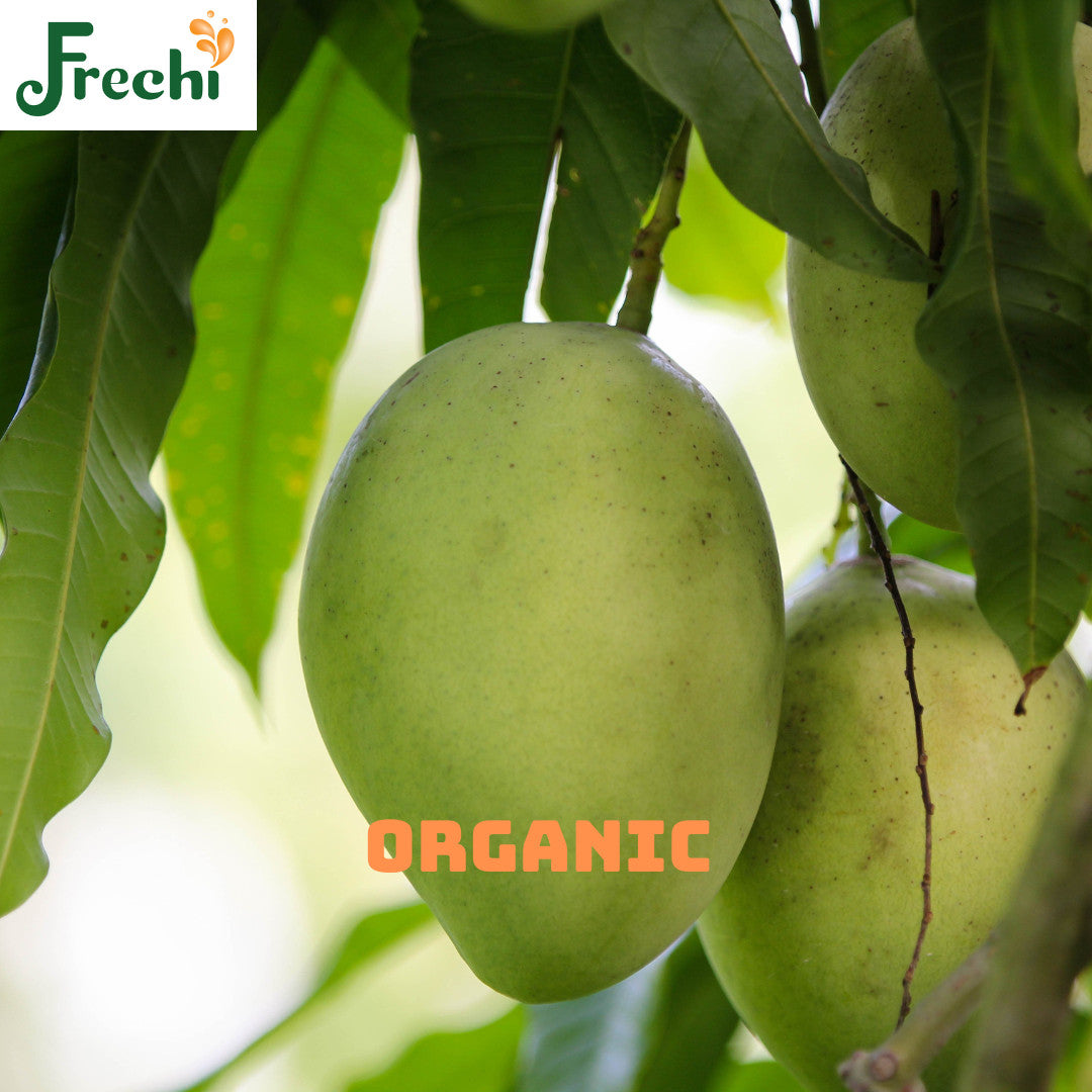Fresh Ripe Mango