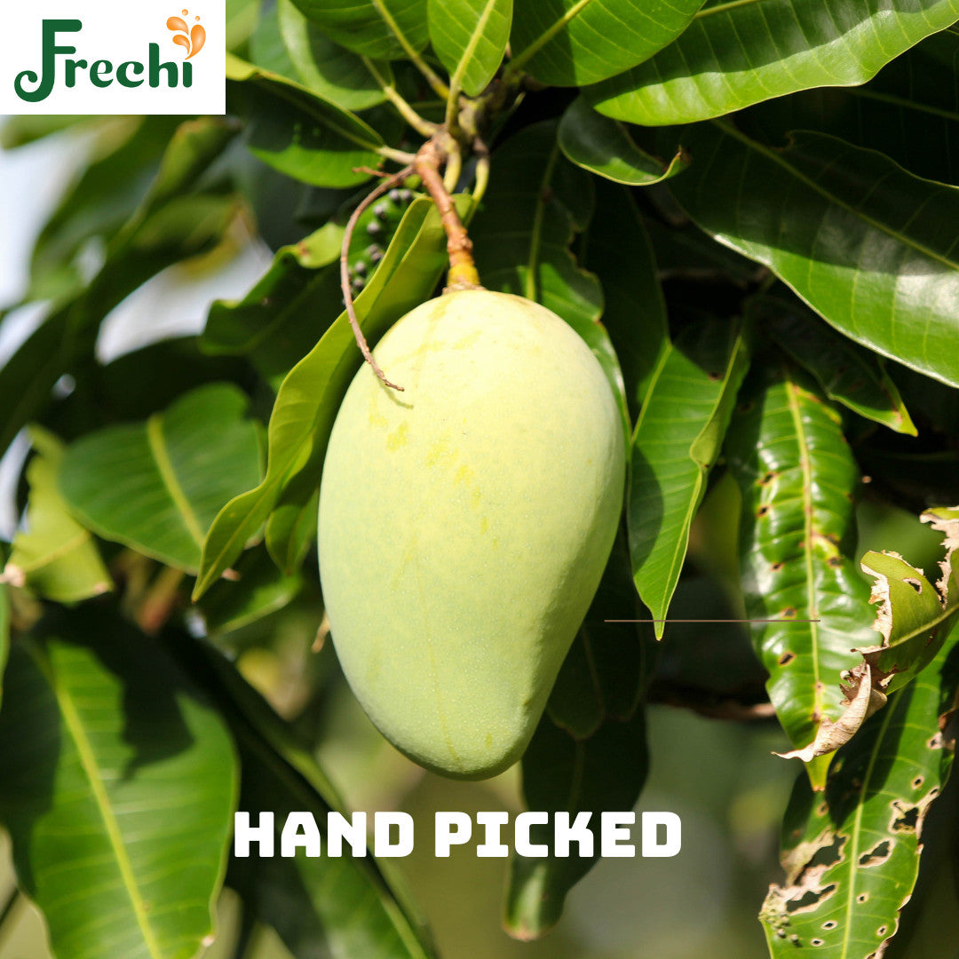 Fresh Ripe Mango